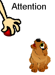 Illustration: attention span