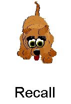 Illustration: recall